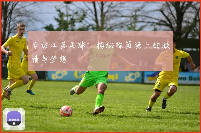 专访江苏足球：揭秘绿茵场上的激情与梦想