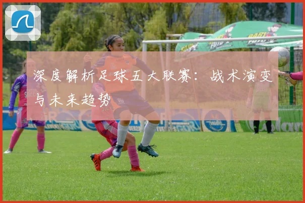 深度解析足球五大联赛：战术演变与未来趋势